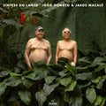 João Donato & Jards Macalé : Síntese Do Lance (LP, Album, RE)