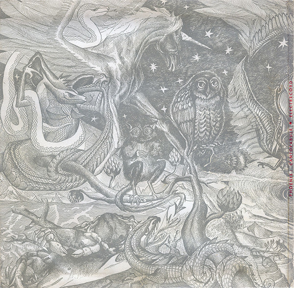 Phoenix (23) : Cantofabule (2xLP, Album, Gat)