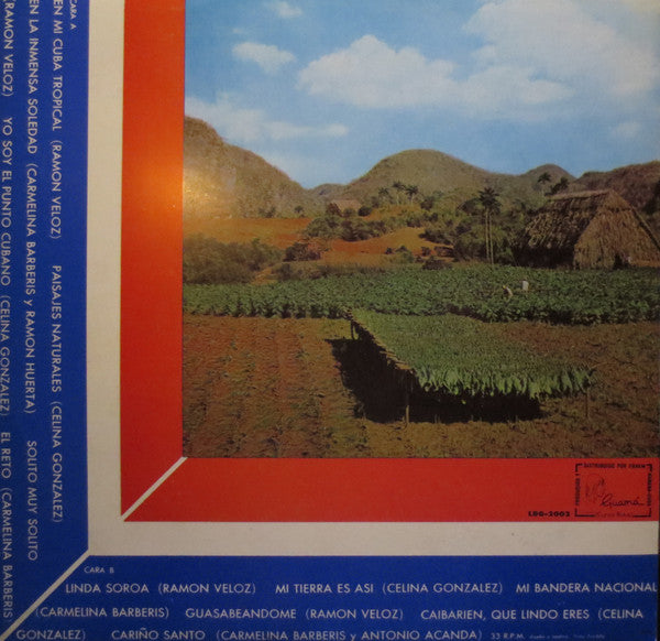 Various : Guateque Campesino (LP)